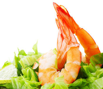 speiseauswahl-350x300